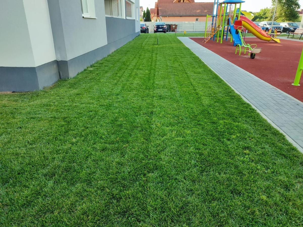 Hunyadi Luxury Kogalniceanu سيبيو المظهر الخارجي الصورة